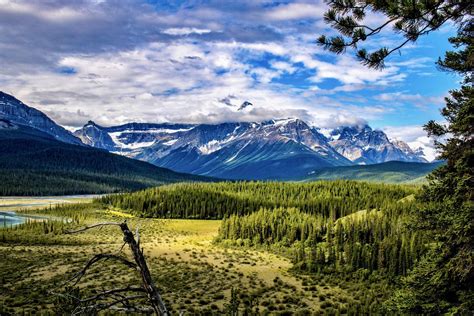 howse pass viewpoint